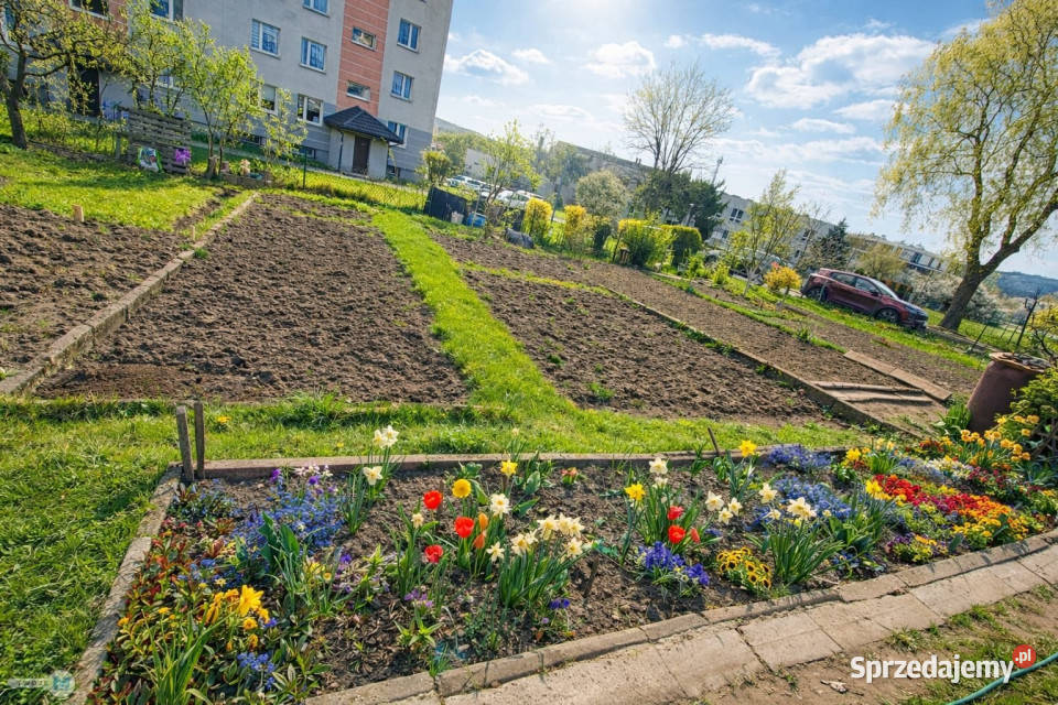 Mieszkanie 6283m2 Kielce