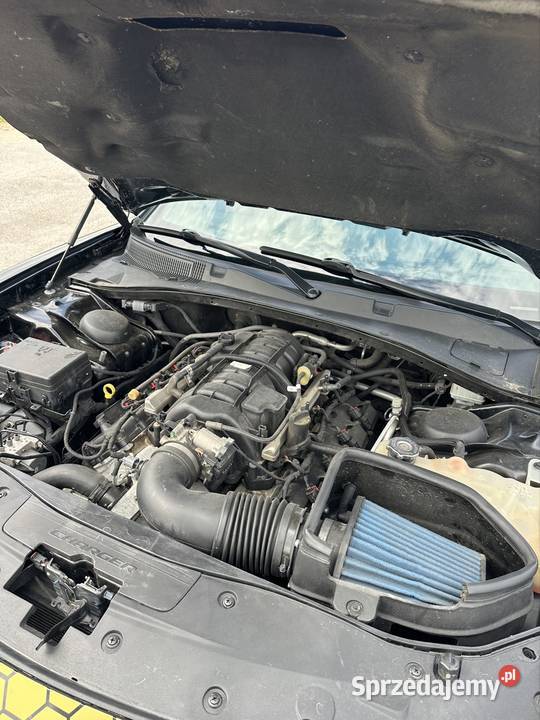 Dodge Charger RT nieuszkodzony Charger Łapy