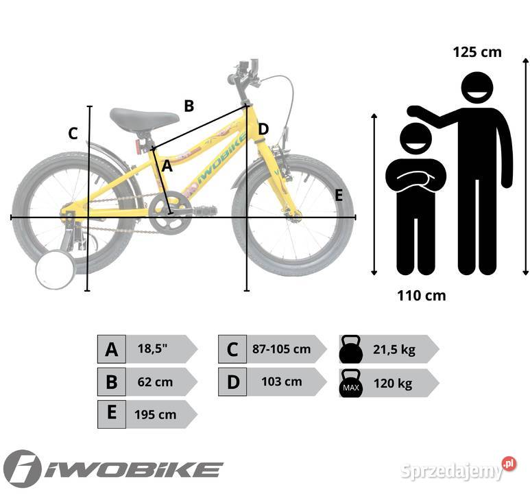 Rower Dziecięcy 16 Chłopięcy Dziewczęcy IWOBIKE małopolskie sprzedam