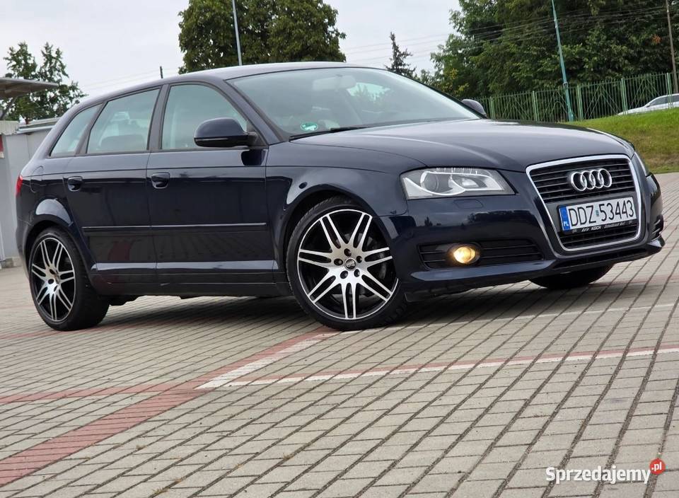 Audi a3 8p 18 T odtwarzacz DVD Garwolin