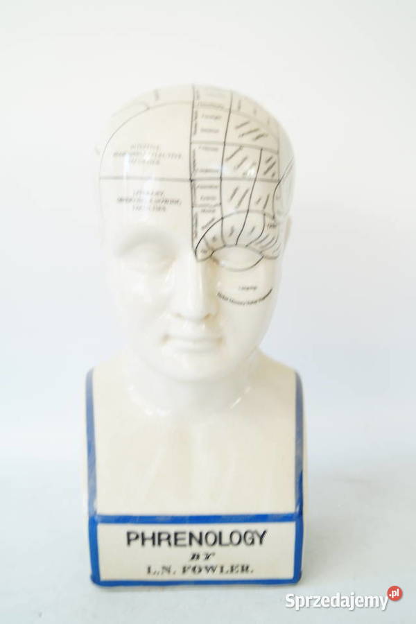 Duża głowa medyczna porcelanowa PHERNOLOGY Gizałki