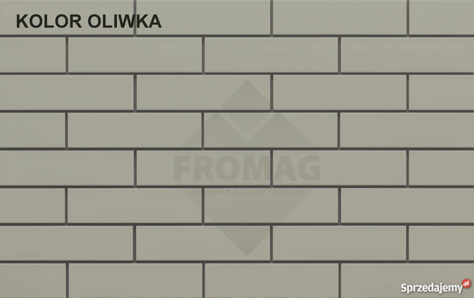Płytka ścienna IGAT jasnoszara Oliwka Kamienna Bydgoszcz