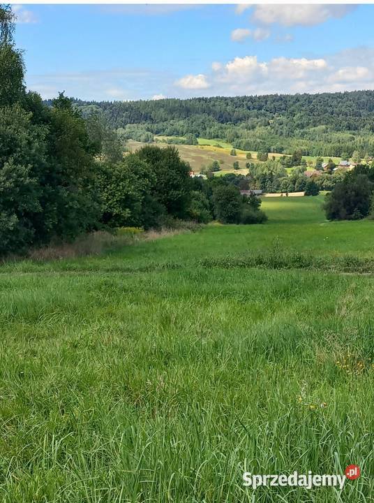 Przepiekna działka widokowa w górach bieszczady Krasna