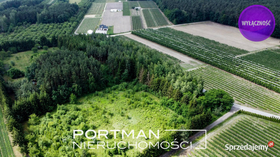 Działka budowlana 1100m2 SPRZEDAŻ MPZP asfalt Świętochów