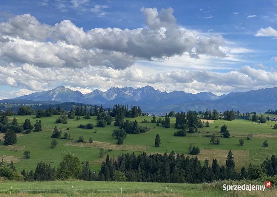 Domek w Zakopanem na wynajem ZAKOPANE Wolne