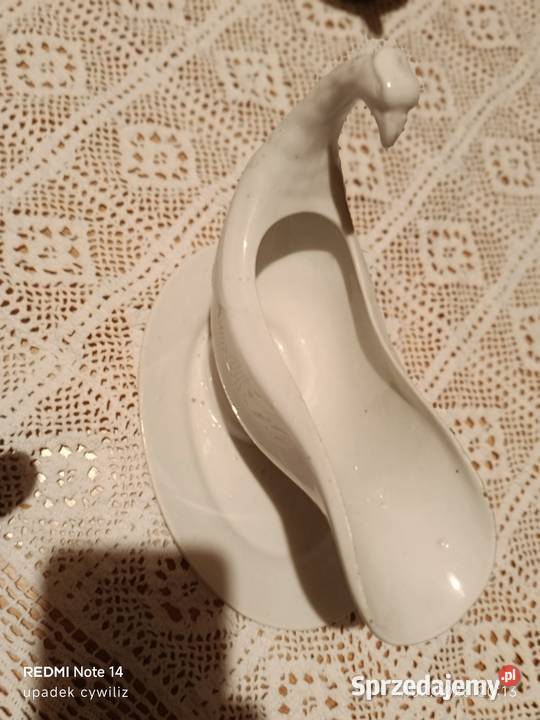 Sosierka stuletnia orzeł śląskie Wodzisław Śląski