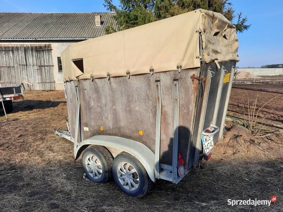 Przyczepa do przewozu koni WESTERIA VT 135 DMC 1100kg Dzbądzek