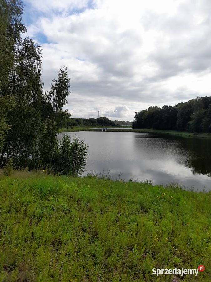 sprzedam gospodarstwo rybackie sp. z o.o.