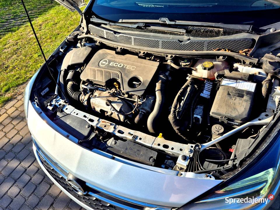 Astra K 2016 Zadbana i Oszczędna Klimatronik Bez Grudziądz