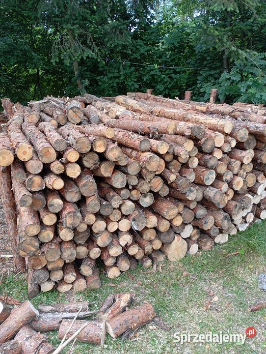 Sprzedam drewno Opał Ostrów Wielkopolski sprzedam