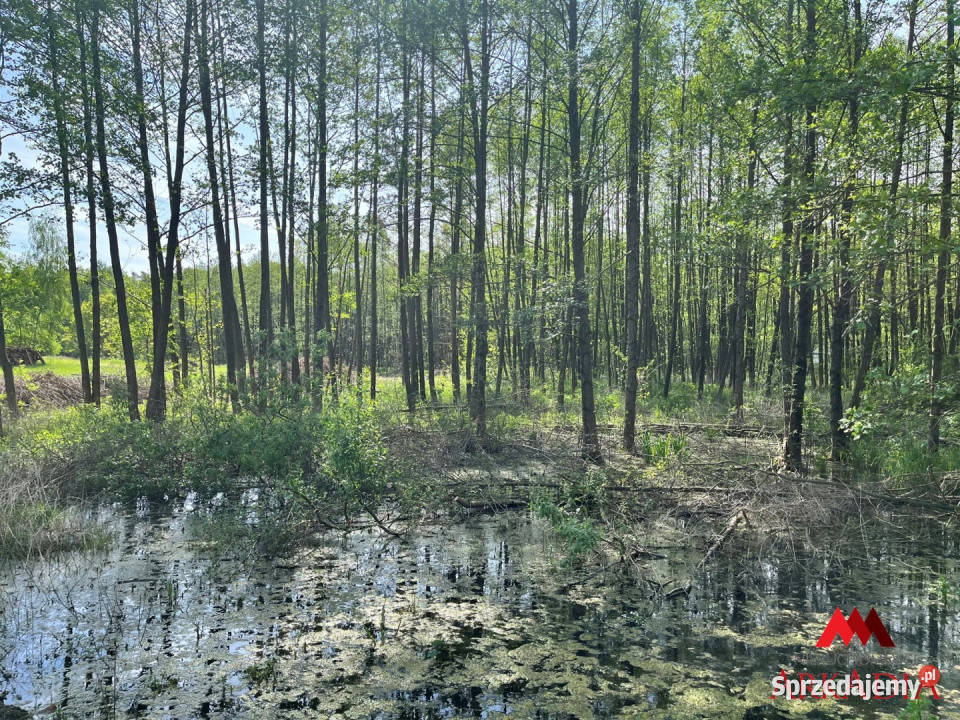 Grunt do sprzedania 2888m2 Osiek sprzedam