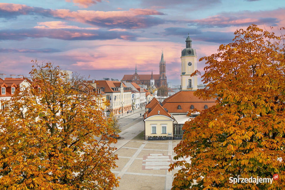 Prywatne mieszkanie na Lipowej z widokiem na oddzielna kuchnia Nieruchomości Białystok