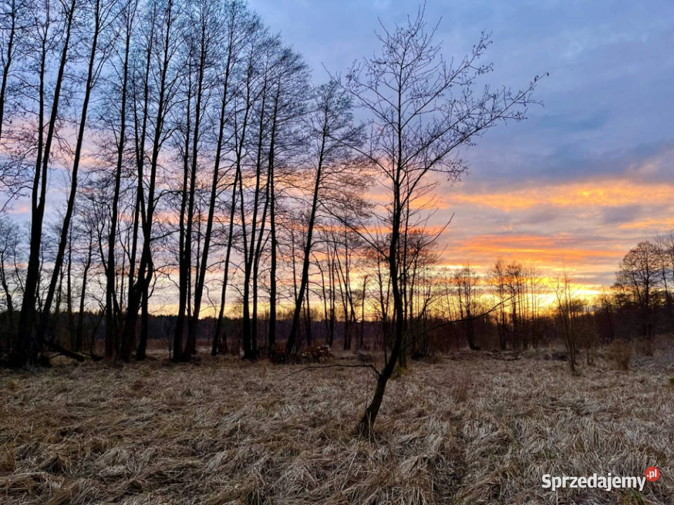 Działka pod zabudowę jednorodzinną 5057 m Mariew utwardzona mazowieckie