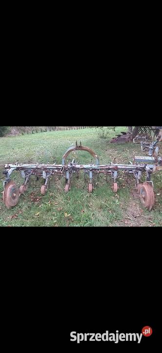 Wielorak pielnik nieuszkodzony