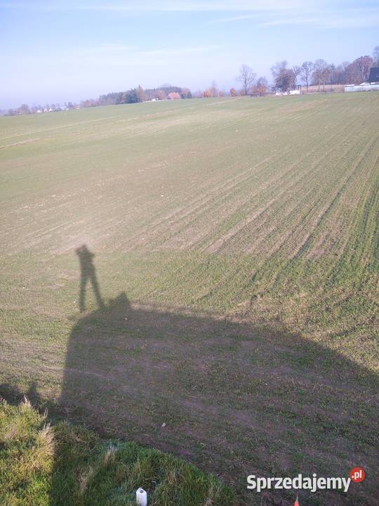 Dwie działki z warunkami zabudowy