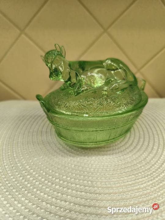 Krowa maselnica HSG Ząbkowice wielkopolskie Konin