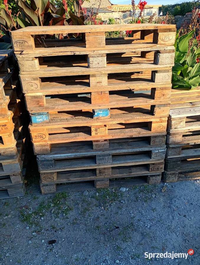 Palety euro palety wielkopolskie Środa Wielkopolska sprzedam