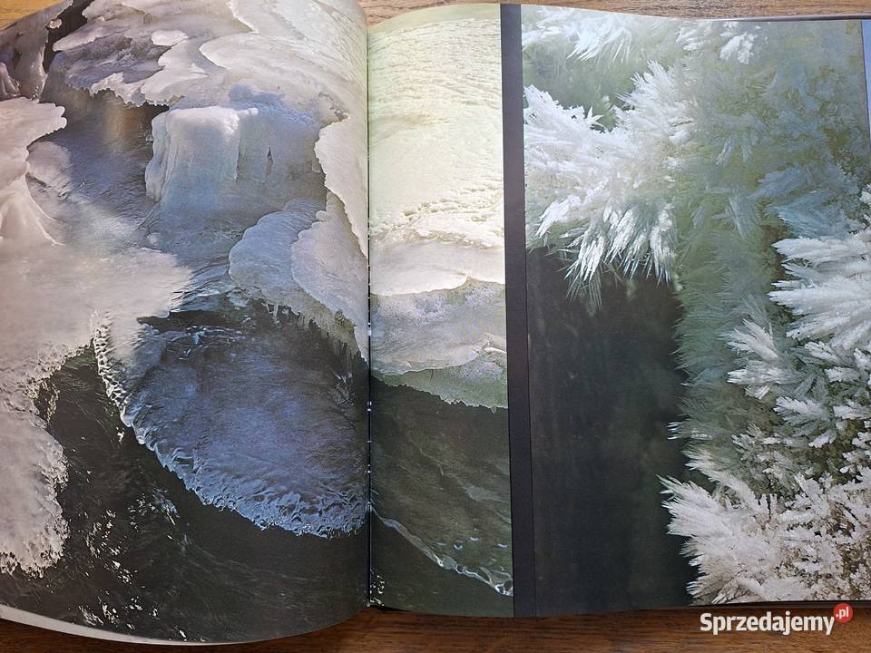 The Heights ahead VGippenreiter j angielski i twarda z obwolutą małopolskie Kraków