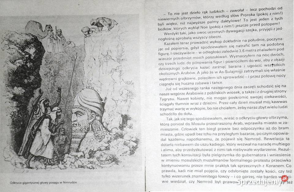 W poszukiwaniu Niniwy Austen Henry Layard Chełm sprzedam