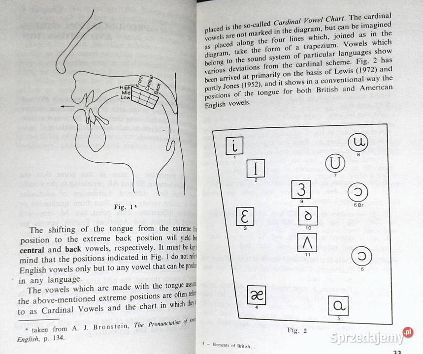 Elements of british and american english Karol miękka Kultura i Rozrywka Chełm