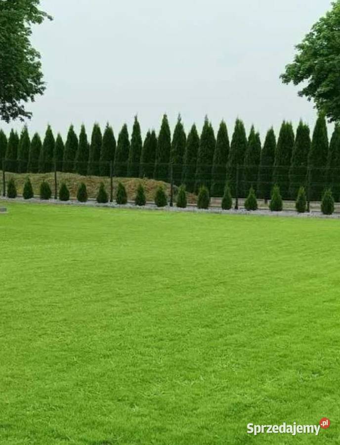 USŁUGI OGRODNICZE MIASTKÓW KOŚCIELNY