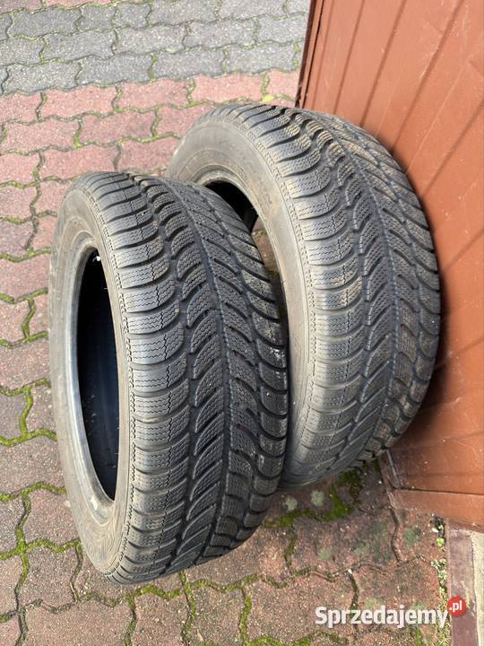 Opony zimowe Dębica frigo 2 205 55 r16 2025r Goleniów