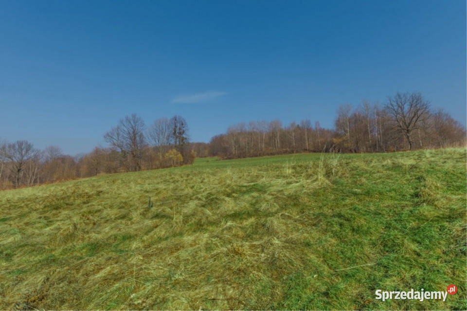 Widokowa działka odkryj spokój w Beskidach Sprzedaż Brenna