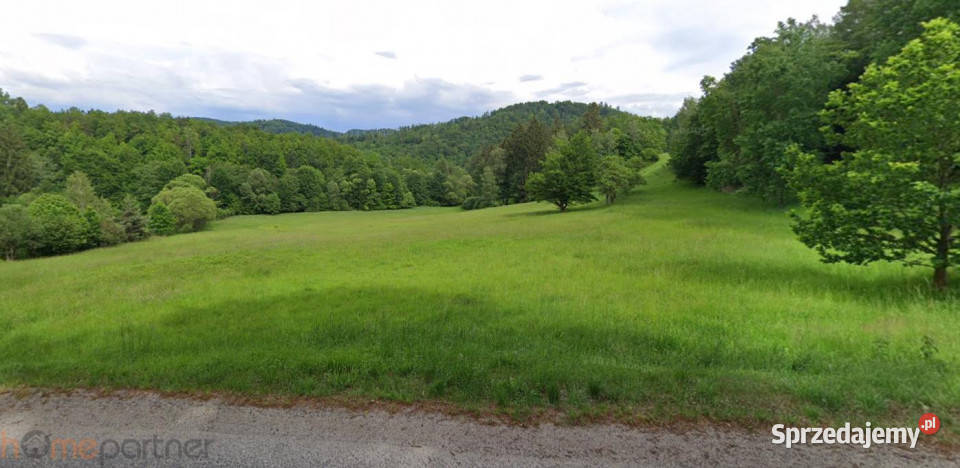 Grunt 18091m2 Wilcza dolnośląskie