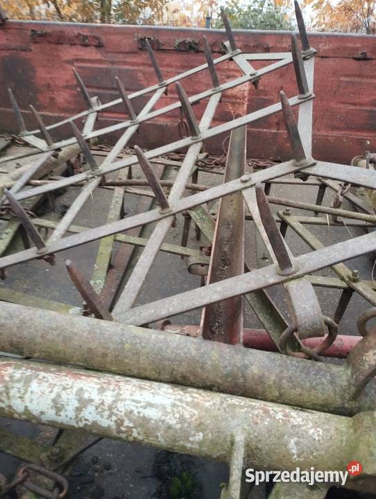 Brony 5 połowę gwiazda 4 Rzgów