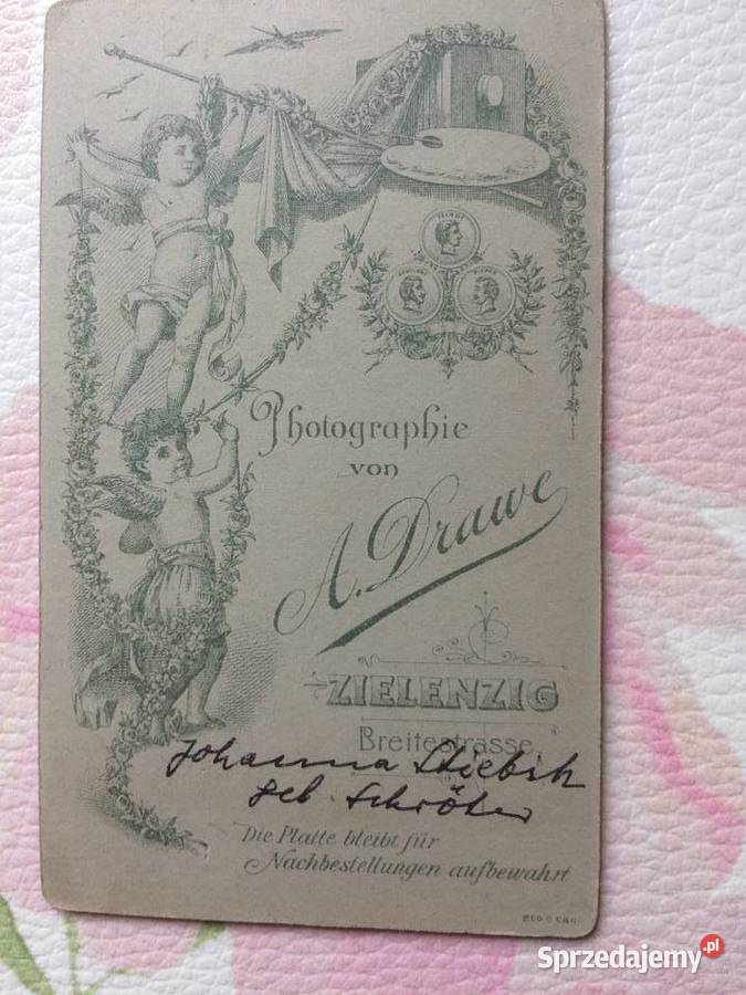 1237 SULĘCIN Niemieckie Zdjęcie Kartonikowe Szczecin sprzedam