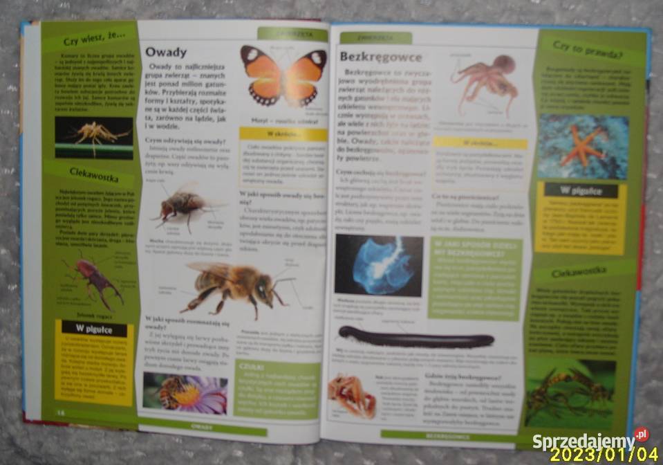 Nowa Księga WiedzyEncyklopedia Dzieci w Rawicz