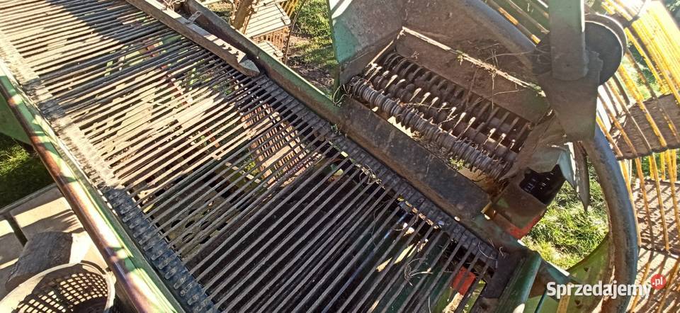 Kombajn do ziemniaków Hassia Kombajny