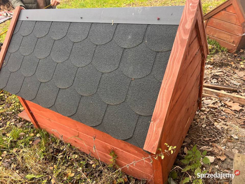 Nowa Buda Psa Tanio Duża Ocieplana małopolskie Zakliczyn