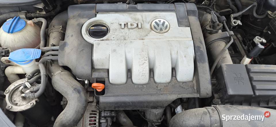 VW Golf 5 V 19 TDI 77kW 105 5d hatchback BLS