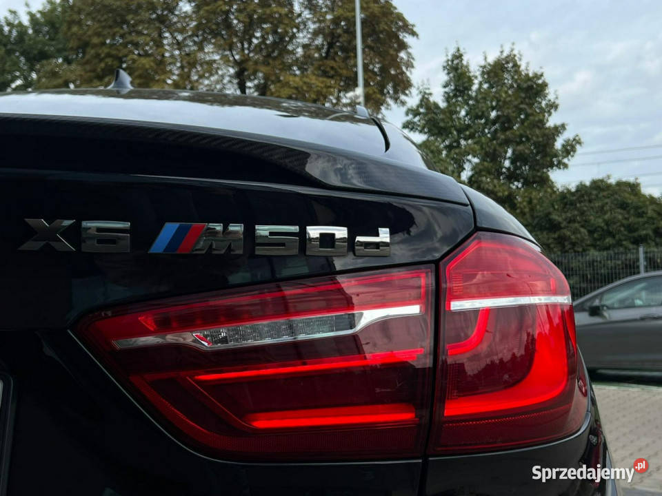BMW X6 M50 D 30 381 Salon Polska Bezwypadkowy Motoryzacja Piotrków Trybunalski