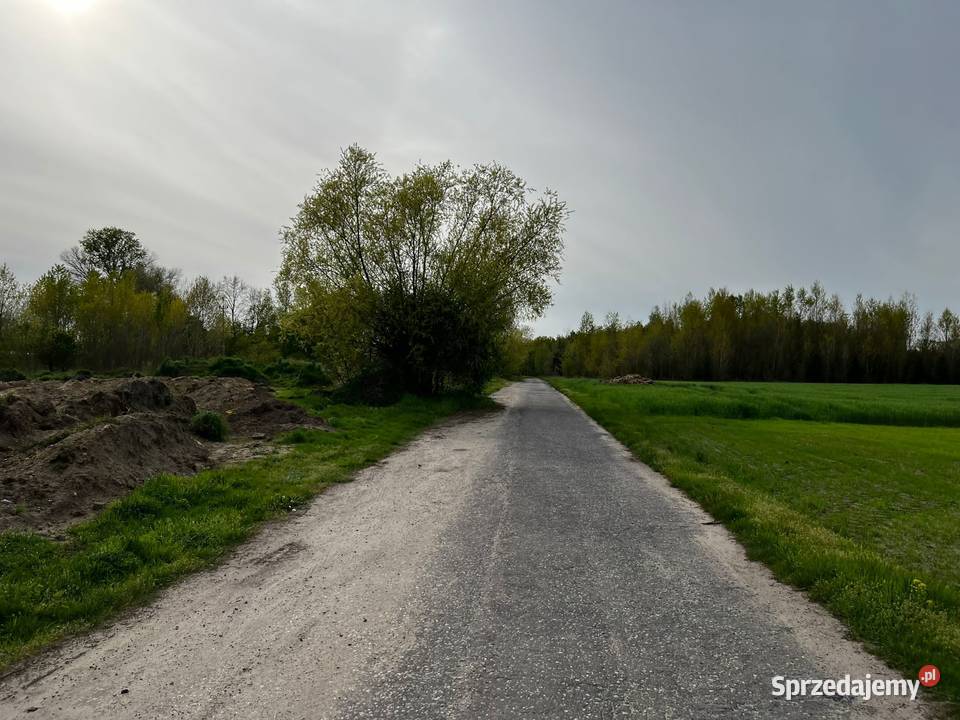 Działka drodze asfaltowej Kolsko sprzedam