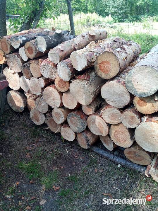 Drzewo opałowe Huta Komorowska sprzedam