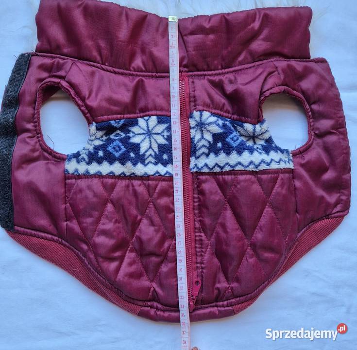 Ubranko na pieska małopolskie Brzesko