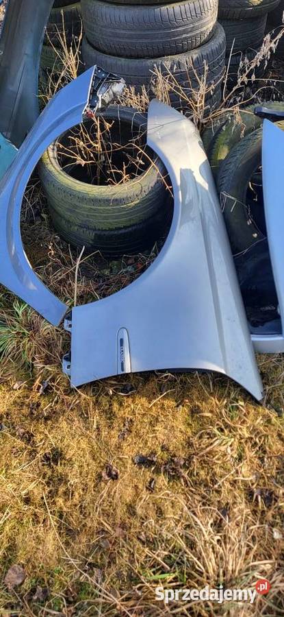 Błotnik Lewy Prawy Mercedes E Klasa W 211 Żabno
