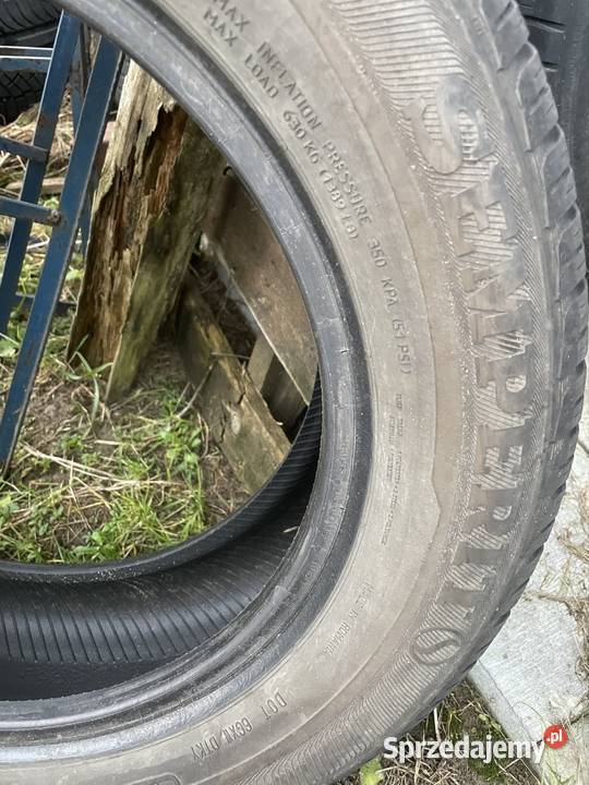 Opony zimowe Semperit Speed Grip2 2056016 205 Bełchatów