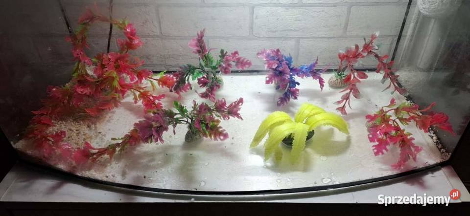 Akwarium i terarium 60 litrów profilowe Wadowice