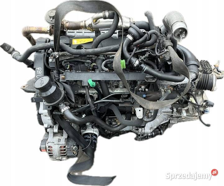 SILNIK KOMPLETNY RHV 20 HDI JTD boxer ducato Puławy sprzedam