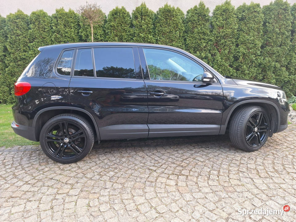 Volkswagen Tiguan BlueMotion Technology Trend Siewierz