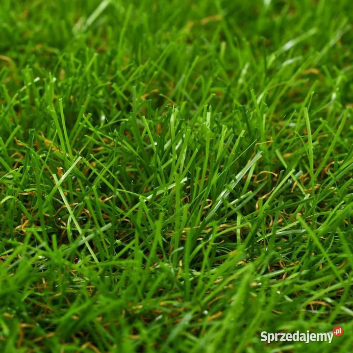 Sztuczny trawnik 1x10 m 40 mm zielony318331 mazowieckie Warszawa