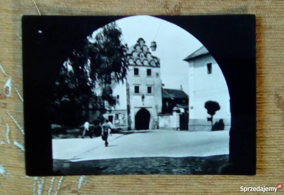 TRZEBOŃ SVINENSKA BRAMA Piszczac sprzedam