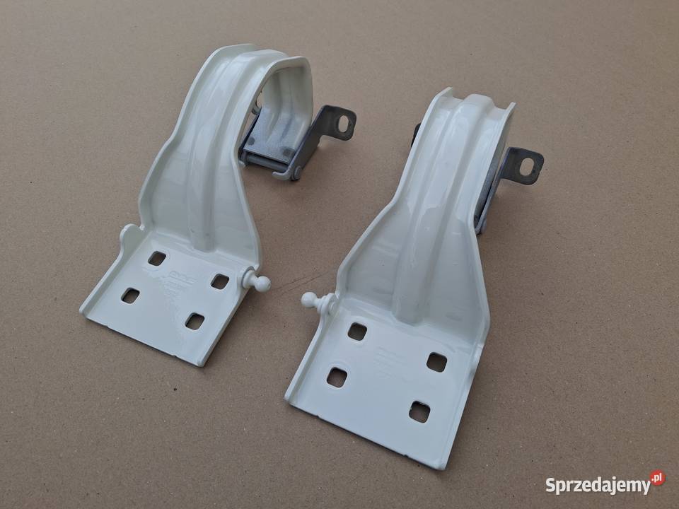 DAF XF XG KLAPA SCHOWKA PRAWA DRZWICZKI POKRYWA Bieleń