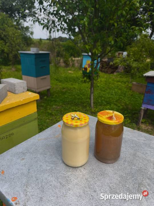 Miód z własnej pasieki podkarpackie Jawornik Ruski