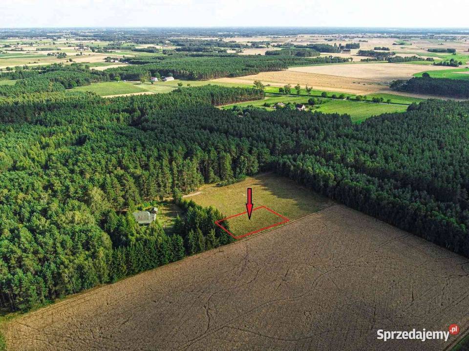 Działka budowlana w otulinie lasu 1382 m2 Bysław