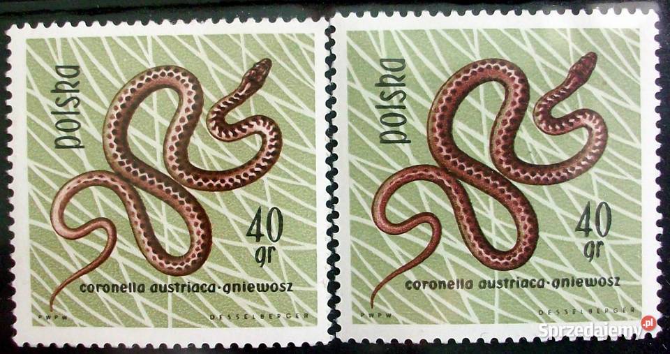 Znaczki polskie 1963 II kwartał luzaki Leźnica Wielka-Osiedle