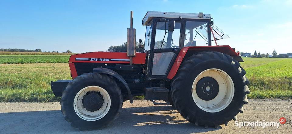 ZTS ZETOR 16245 wielkopolskie Buk